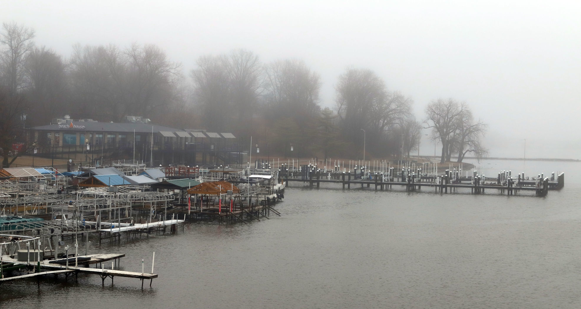 Fog 4 2.7.19.jpg